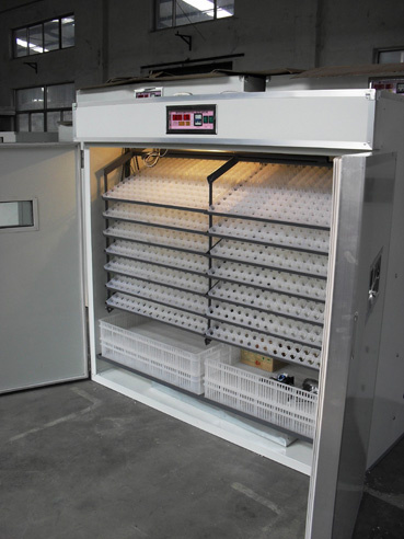 Full-Automatic Egg Incubator and Hatcher (HLDM-5)