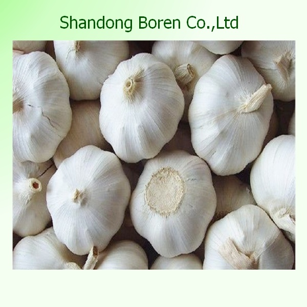 2015 Chinese Natural Green Garlic From Boren