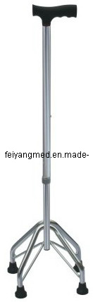 Walking Stick
