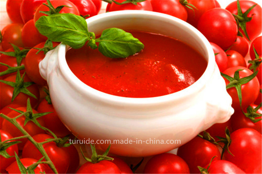 Good Tomato Paste 28-30%