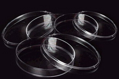 Laboratory Plastic Petri Dish with Interval Room