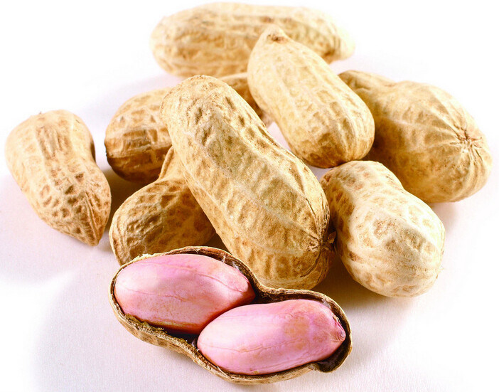 Exporting Quality Raw Peanut in Shell