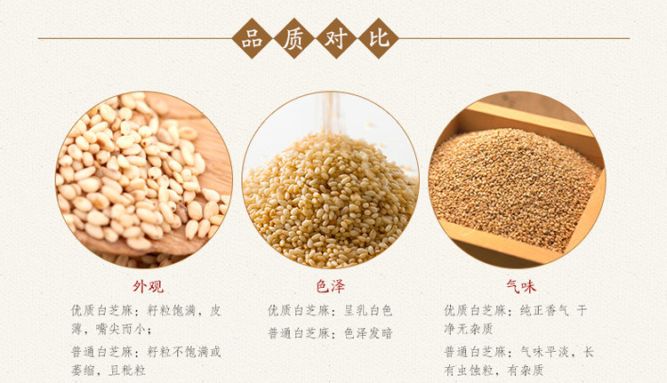 New Crop Natural White Sesame Seed