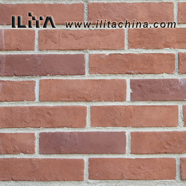 Decorative Stone, Wall Cladding Artificial Cultured Stone (YLD-20037)