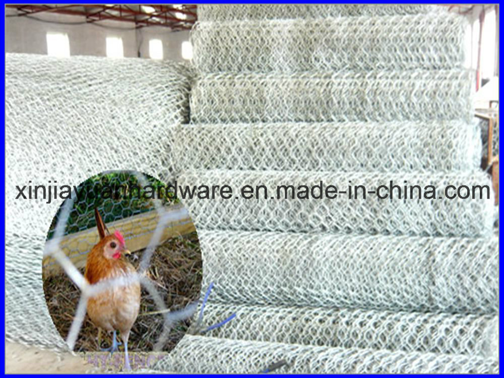 Cheap Price Hexagonal Wire Netting