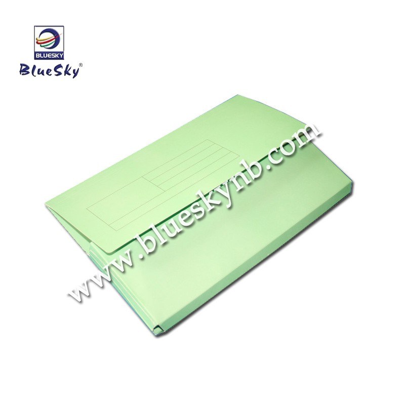Paper File Case Printing (BLY8 - 1008 PF)