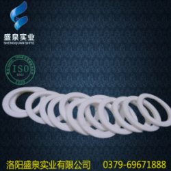 PTFE Seal Ring