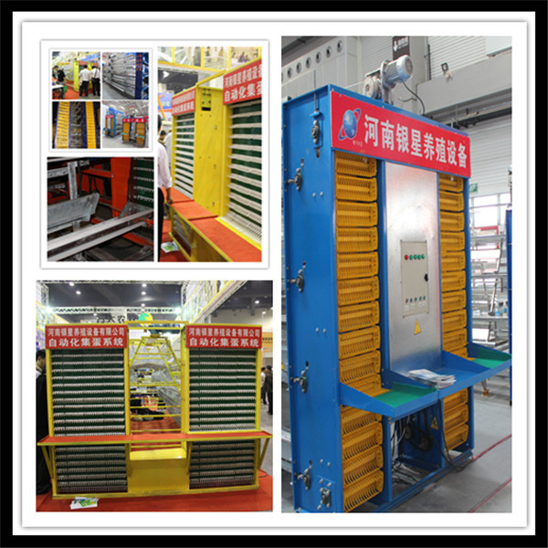 Automatic Chicken Output Equipment