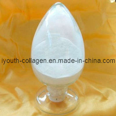 CPP (casein phosphopeptides)