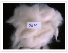 Wool
