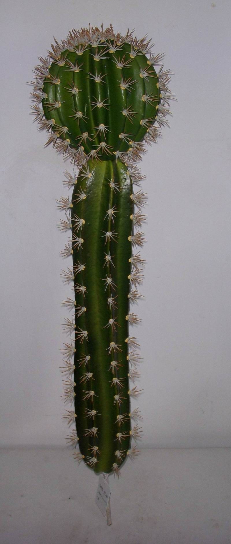 Artificial Cactus