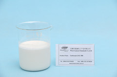 Coating Lubricant for Paper