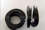 Spring Washers