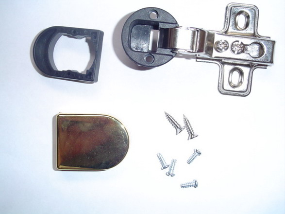 Concealed Hinge