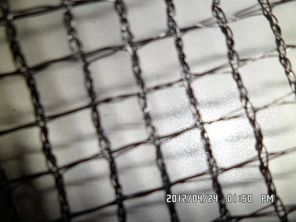 6x6 Anti Bird Net (20x20, 6x6, etc. )