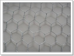 Hexagonal Wire Mesh