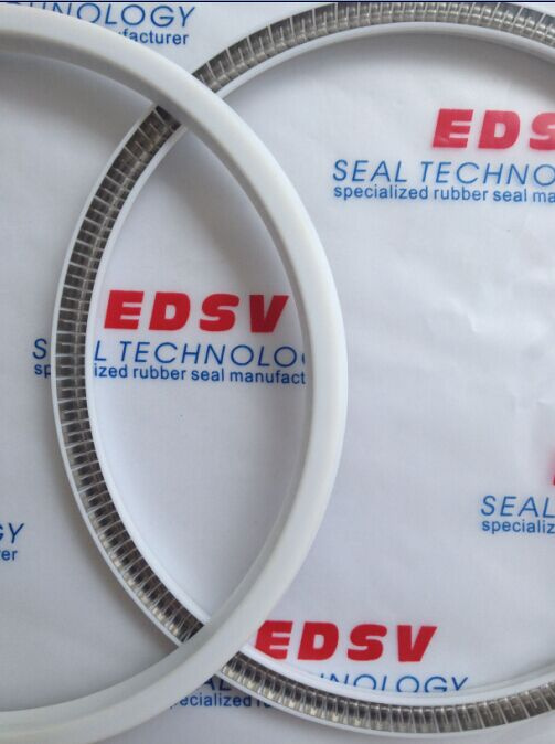 Spring Energized Seal
