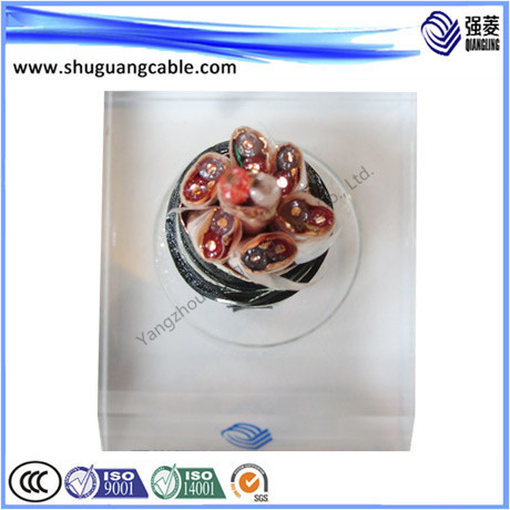 Low Smoke/Halogen Free/PE Insulated/Overall Screened/Swa/PE Sheathed/Computer Cable