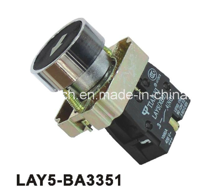 Flush Spring Return Marked Push Button Switch