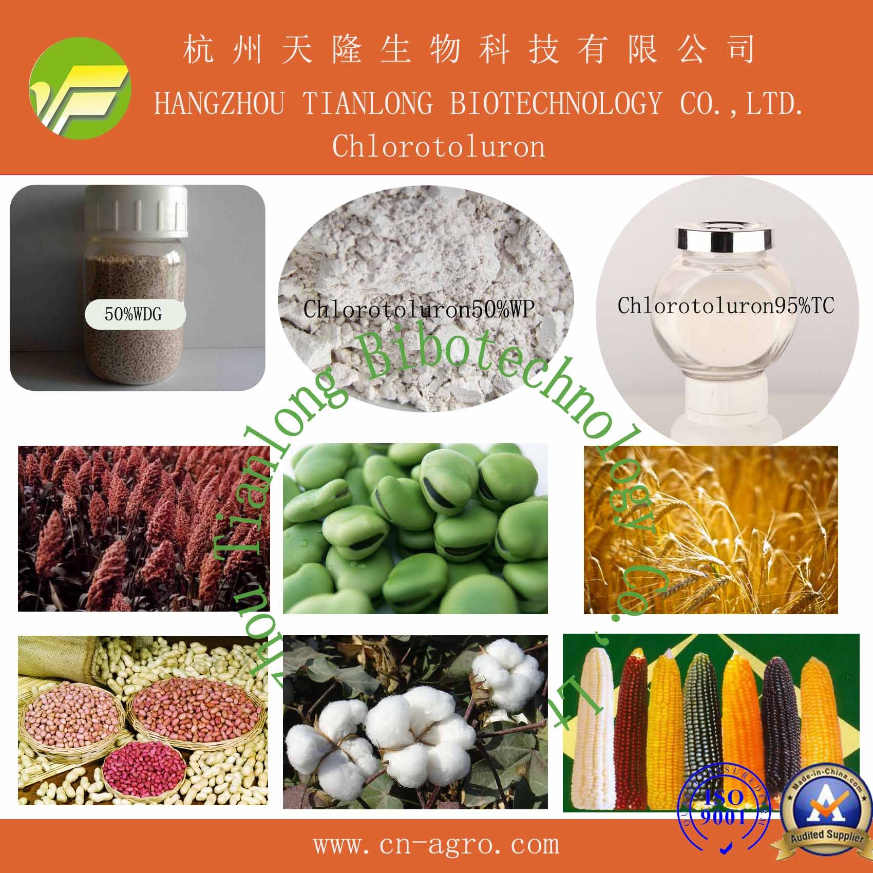 Highly Effective Herbicide Chlorsulfuron (95%TC, 25%WP, 50%WP, 75%WP, 80%WP, 75%WDG)