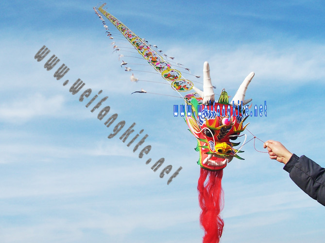 Flying Kites