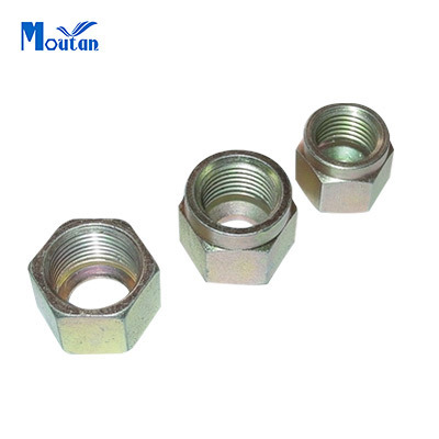 Carbon Steel Hex Special Nut