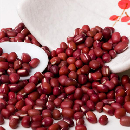 2015 Wholesale! ! ! China Organic Dired Black Bean