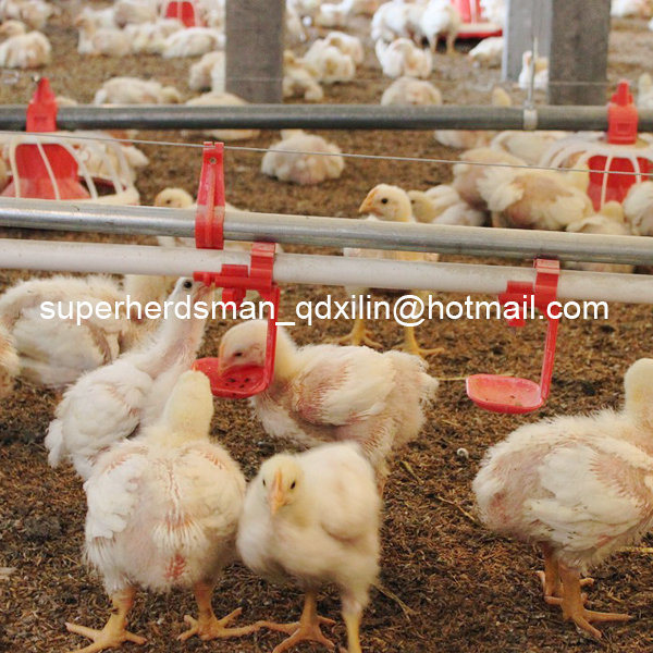 Full Set High Quality Automatic Poultry Feeder for Broiler