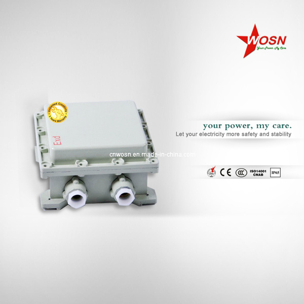 Explosion-Proof Illumination Power Distribution Box