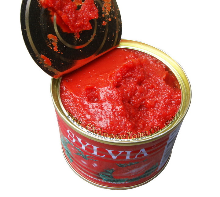 High Quality Tinned Tomato Paste (With Free Samples)