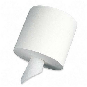 Center Pull Towel
