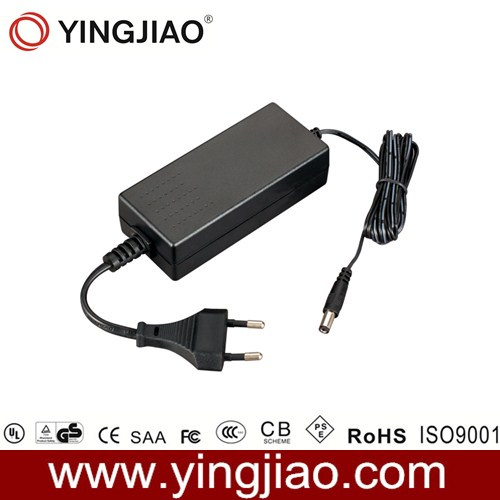 25W LED Adapter with Fixed AC Cord