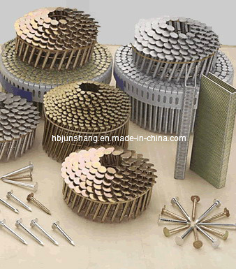 Pallet Nail/Wire Coil Nail