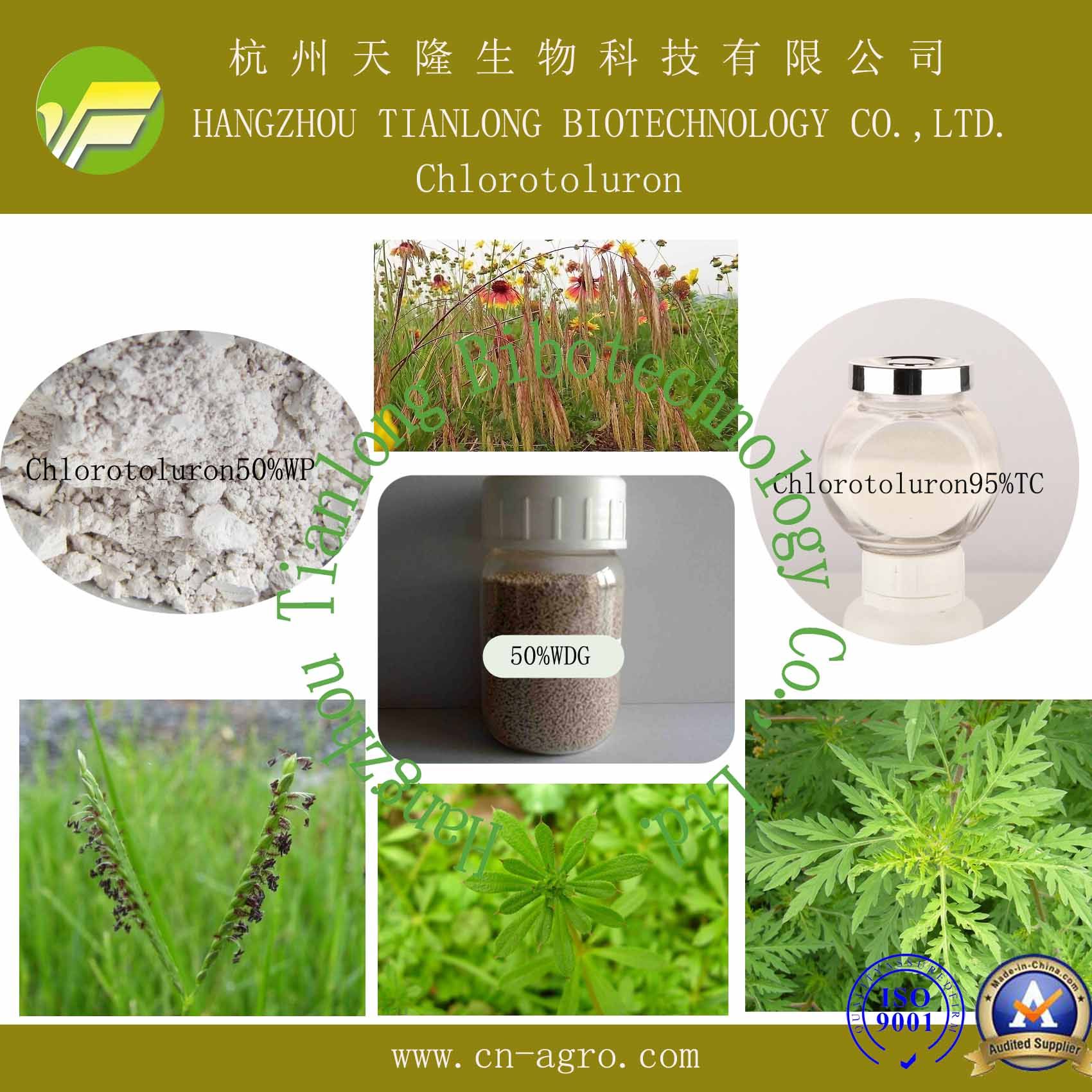 Good Quality Herbicide Chlorsulfuron (95%TC, 25%WP, 50%WP, 75%WP, 80%WP, 75%WDG)