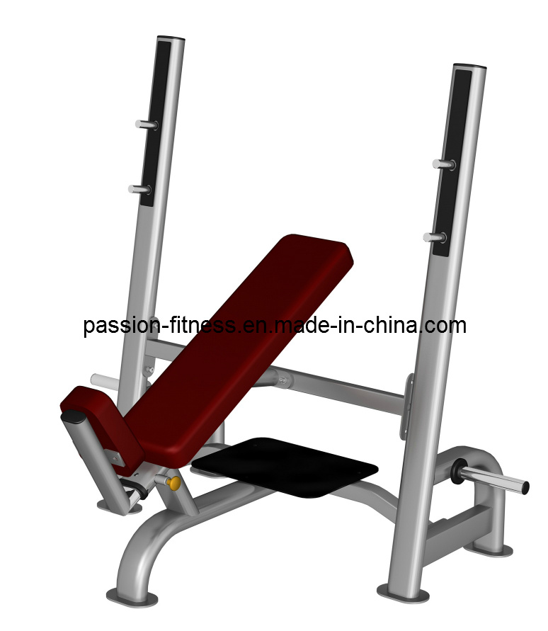Olympic Bench Incline Press Free Weight Commercial Fitness/Gym Equipment with SGS