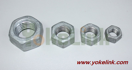 Hex Nuts