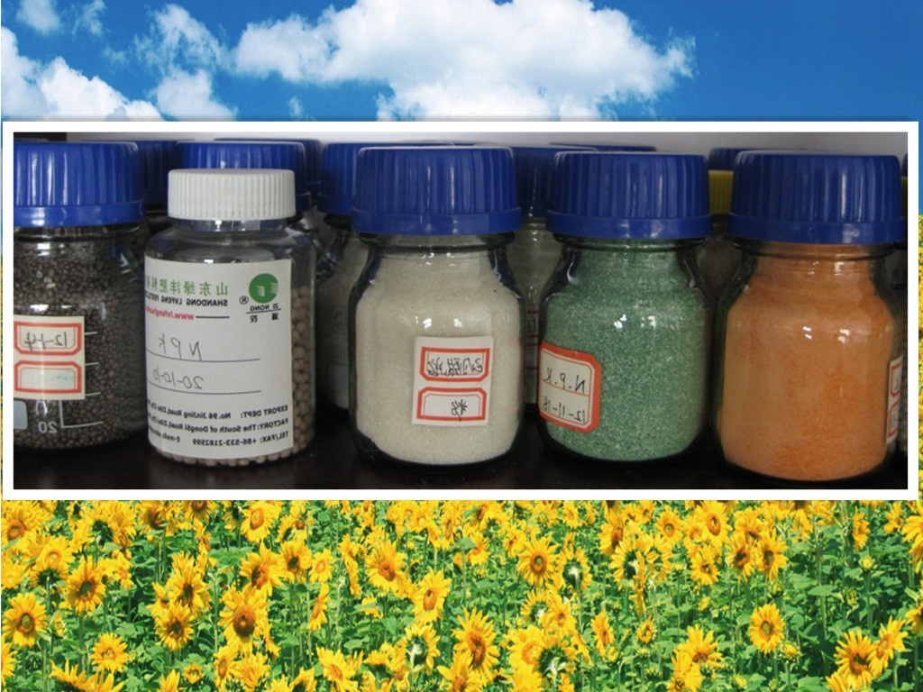 NPK Complex Fertilizer