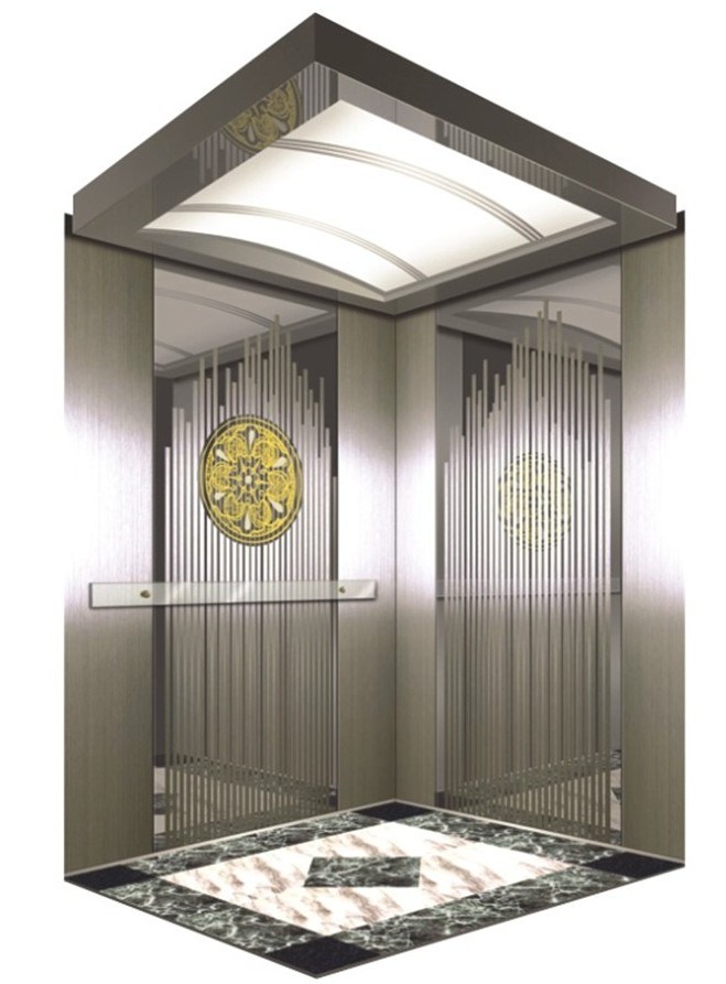Environmental Residential Elevator (DAIS003-2)