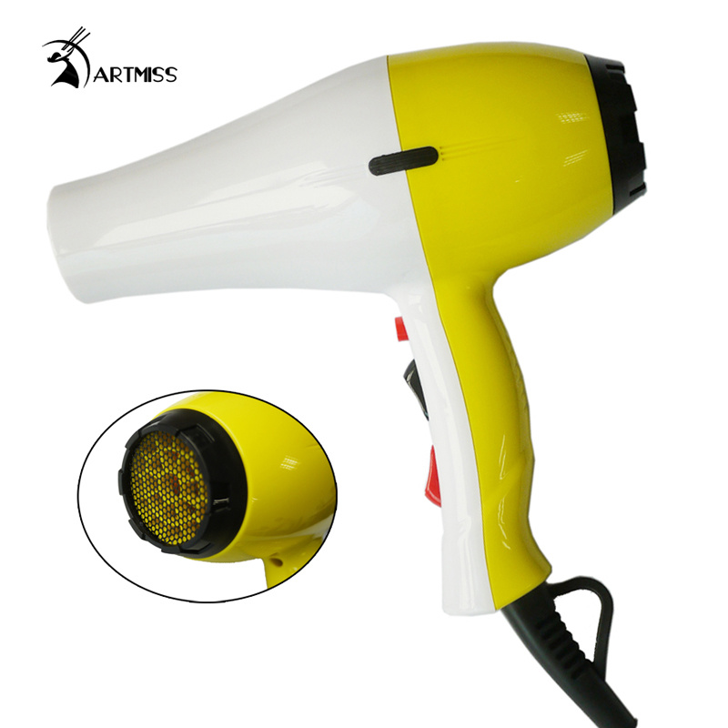 Colorful Professional Hair Dryer #5877