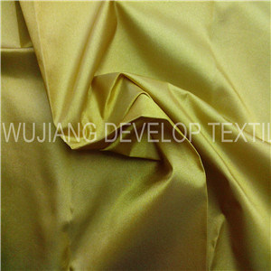 Polyester and Nylon Two-Tone Fabric for Garment (DNT3136)