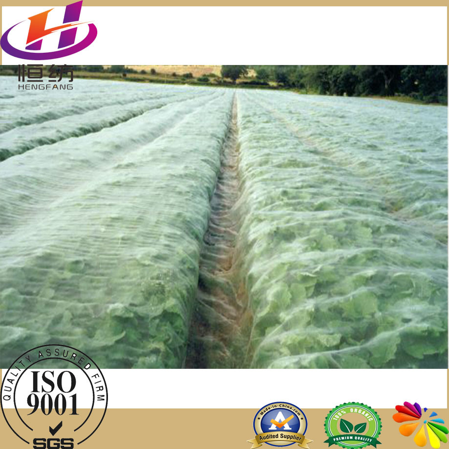 Agricultural Used Anti Insect Net