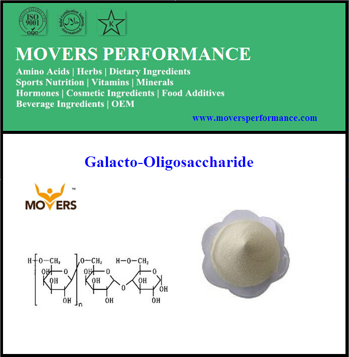 Hot Sale High Quality Galacto-Oligosaccharide/Gos on Sale