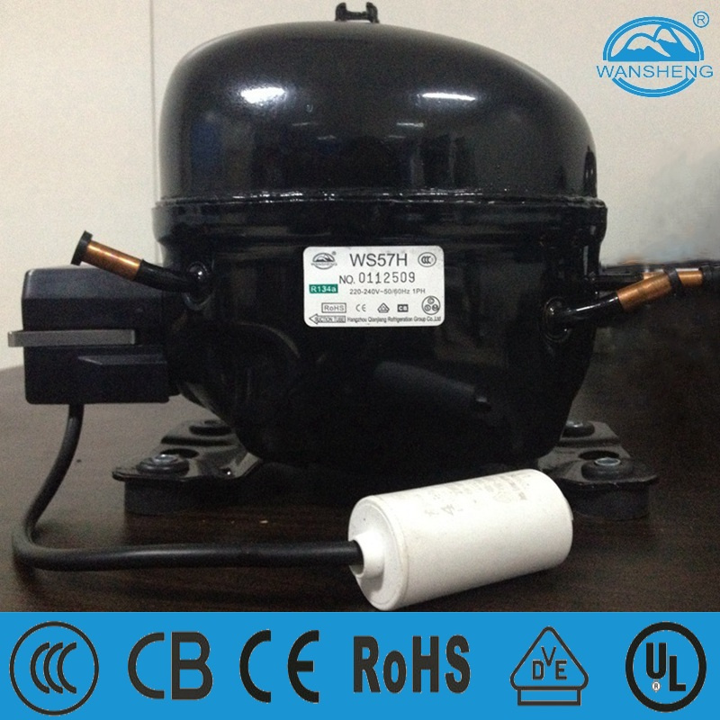 Ws Series R134A Piston Refrigeration Compressor Ws57h