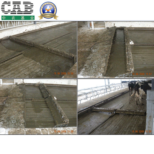 Manure Scraper/Cattle Cleaning Equipment