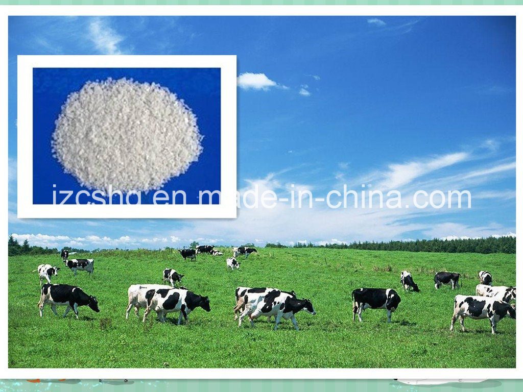 High Quality MDCP Mono-Dicalcium Phosphate Poultry Feeds