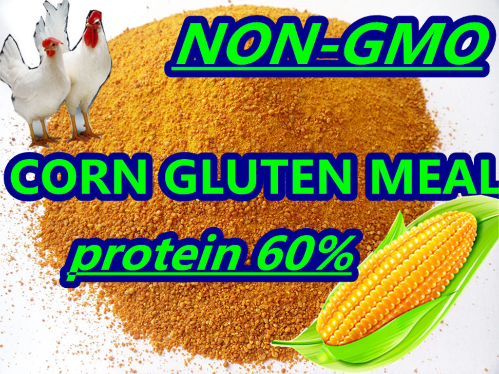 Corn Gluten Meal for Feed (protein 60%min) Non-Gmo