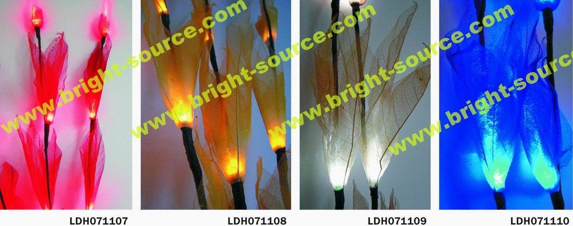 LED Natural Dried Flower (LDH071107-10)
