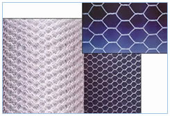 Hexagonal Iron Wire Netting