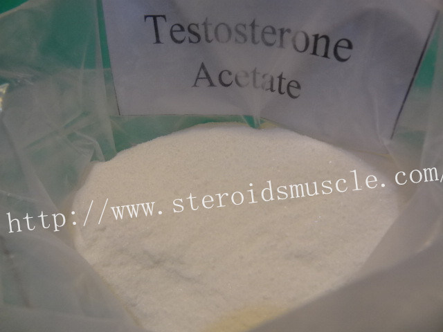 Anabolic Steroid Raw Powder Testosterone Acetate for Muscle Growth 1045-69-8