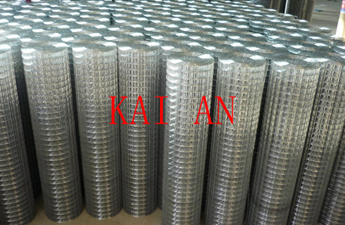 Galvanized Welded Wire Mesh